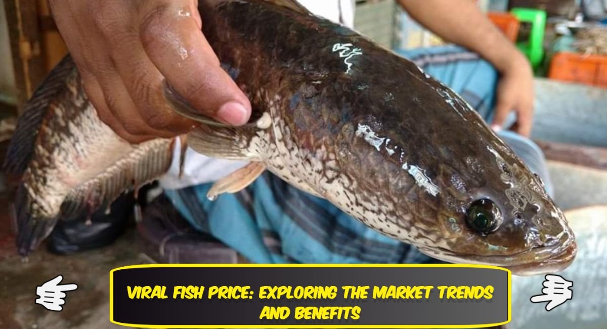 Viral Fish Price